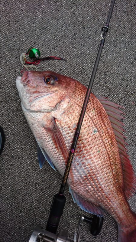 ARCADIAⅡ (アルカディアⅡ) 釣果