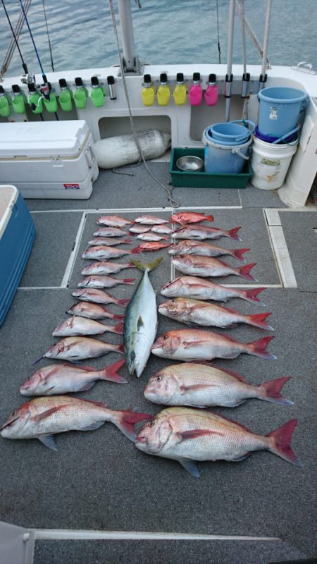 ARCADIAⅡ (アルカディアⅡ) 釣果