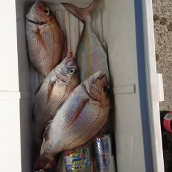 第三共栄丸 釣果