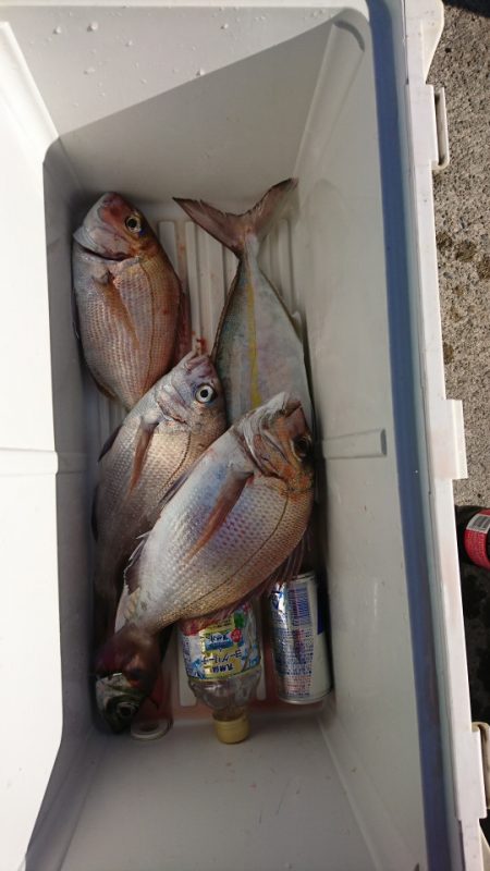 第三共栄丸 釣果