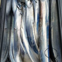 金沢八景鴨下丸 釣果