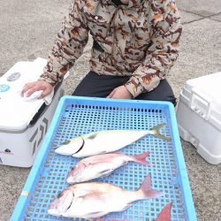 第三共栄丸 釣果