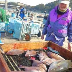 海の釣堀 海恵 釣果
