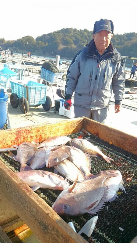 海の釣堀 海恵 釣果