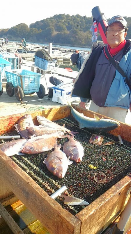 海の釣堀 海恵 釣果