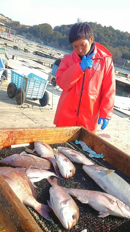 海の釣堀 海恵 釣果