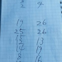 金沢八景鴨下丸 釣果