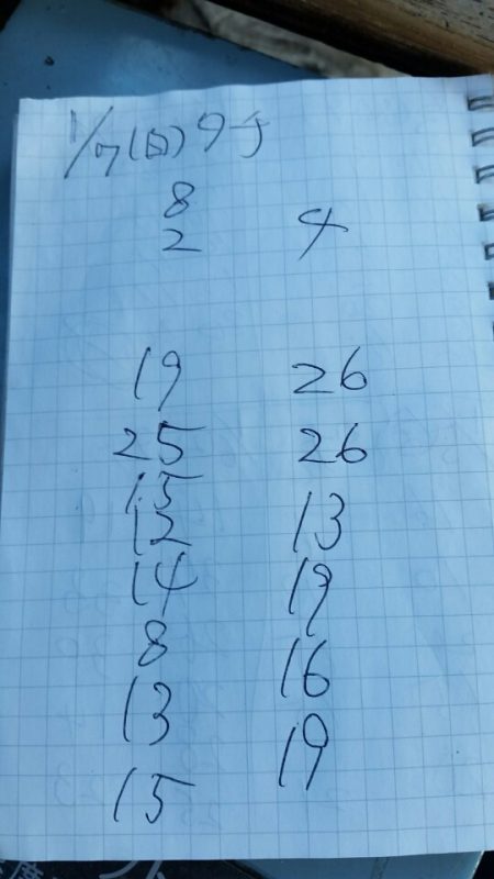 金沢八景鴨下丸 釣果