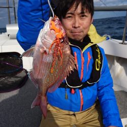 ARCADIAⅡ (アルカディアⅡ) 釣果