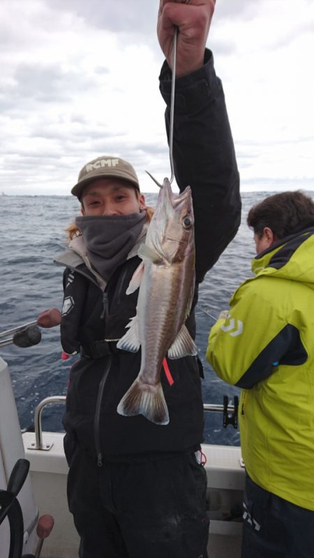 ARCADIAⅡ (アルカディアⅡ) 釣果