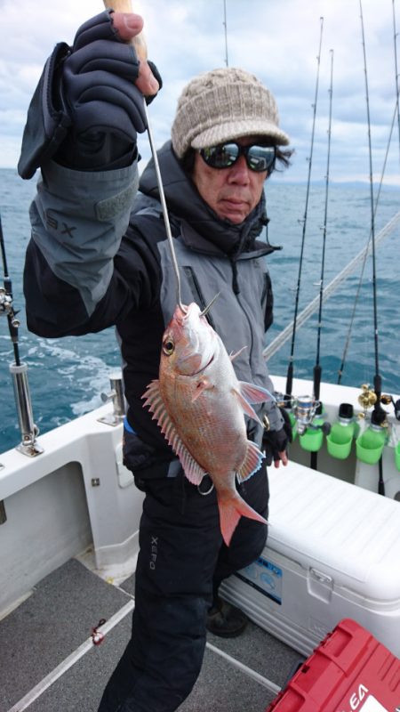 ARCADIAⅡ (アルカディアⅡ) 釣果