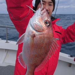 ARCADIAⅡ (アルカディアⅡ) 釣果