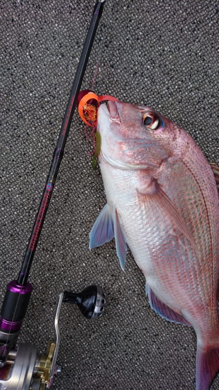 ARCADIAⅡ (アルカディアⅡ) 釣果