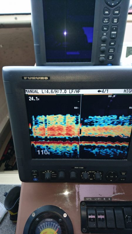 ARCADIAⅡ (アルカディアⅡ) 釣果