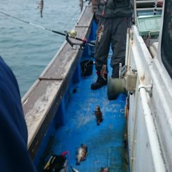 海龍丸（石川） 釣果