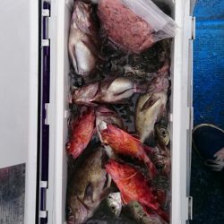 海龍丸（石川） 釣果