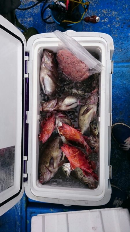 海龍丸（石川） 釣果