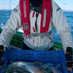 小島丸 釣果
