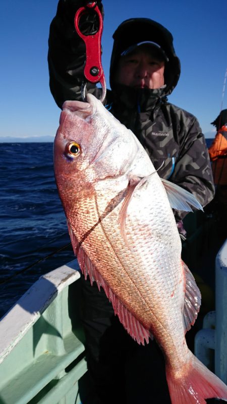 だて丸 釣果