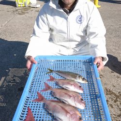 第三共栄丸 釣果