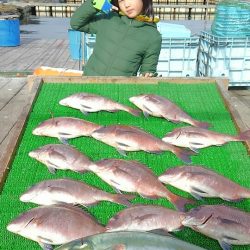 海の釣堀 海恵 釣果