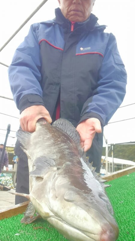 海の釣堀 海恵 釣果