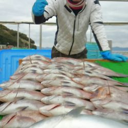 海の釣堀 海恵 釣果