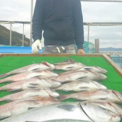 海の釣堀 海恵 釣果