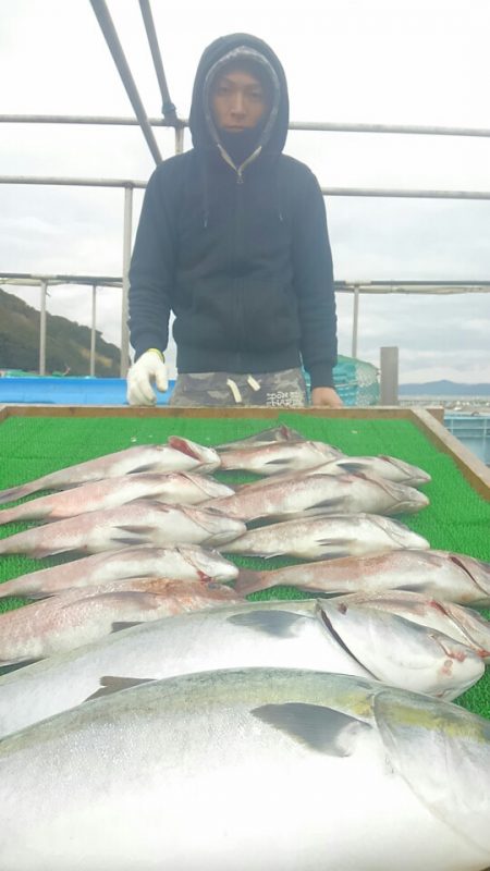 海の釣堀 海恵 釣果