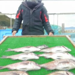 海の釣堀 海恵 釣果