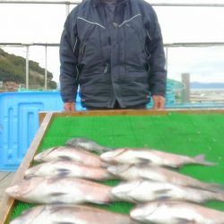 海の釣堀 海恵 釣果