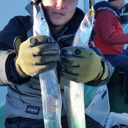 金沢八景鴨下丸 釣果