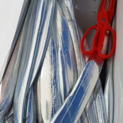 金沢八景鴨下丸 釣果