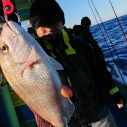だて丸 釣果