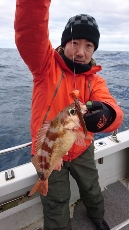 ARCADIAⅡ (アルカディアⅡ) 釣果