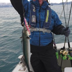 ARCADIAⅡ (アルカディアⅡ) 釣果