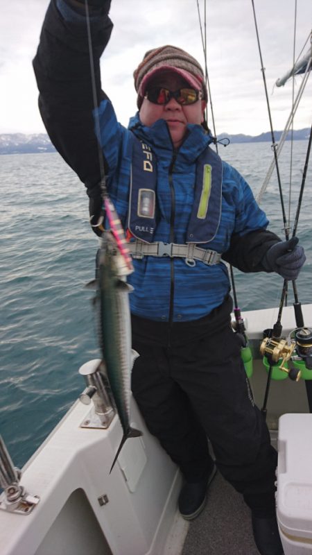 ARCADIAⅡ (アルカディアⅡ) 釣果