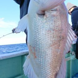 だて丸 釣果