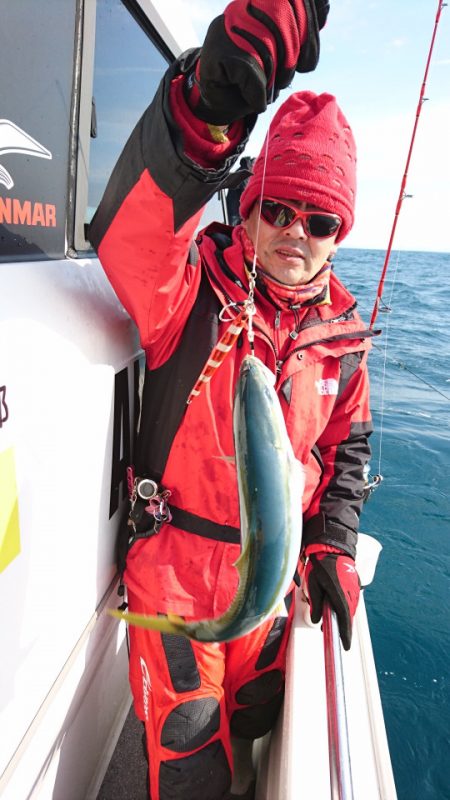 ARCADIAⅡ (アルカディアⅡ) 釣果