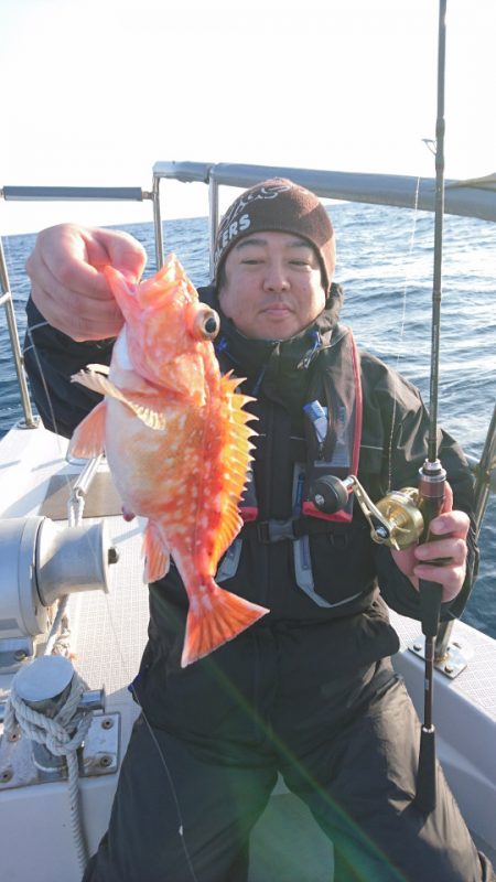 ARCADIAⅡ (アルカディアⅡ) 釣果