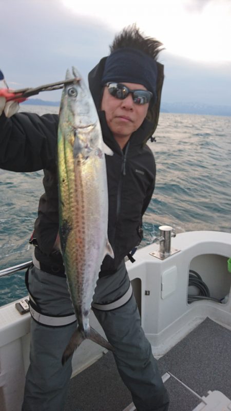 ARCADIAⅡ (アルカディアⅡ) 釣果