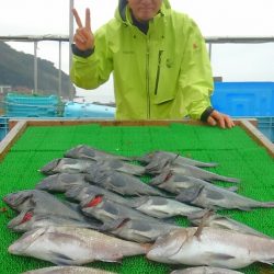 海の釣堀 海恵 釣果