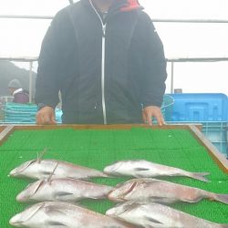 海の釣堀 海恵 釣果