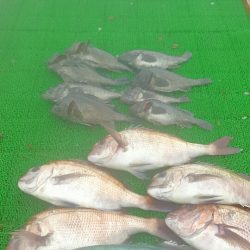 海の釣堀 海恵 釣果