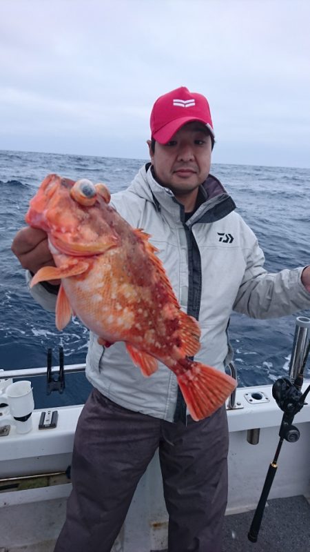 ARCADIAⅡ （アルカディアⅡ） 釣果