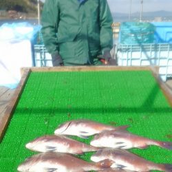 海の釣堀 海恵 釣果