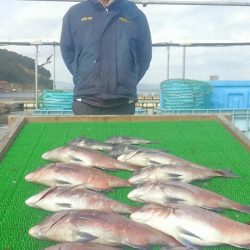 海の釣堀 海恵 釣果