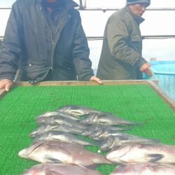 海の釣堀 海恵 釣果