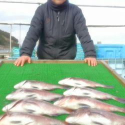 海の釣堀 海恵 釣果