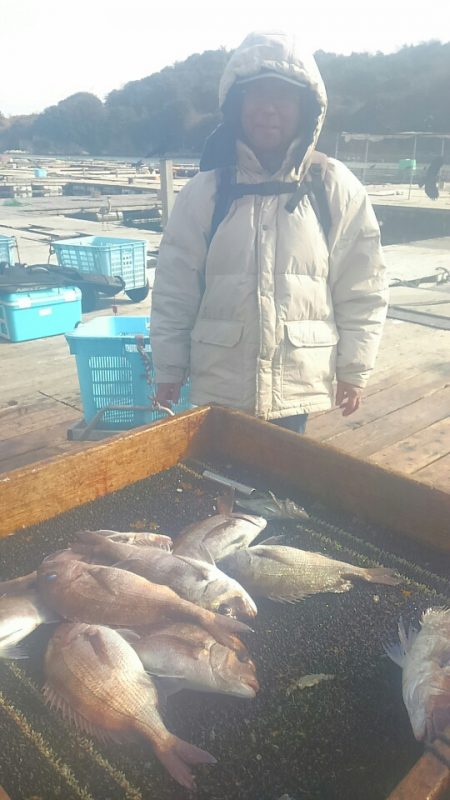 海の釣堀 海恵 釣果
